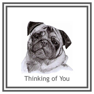 Pug Greeting Card Choice of 6 Designs BIRTHDAY, THINKING OF YOU, BLANK