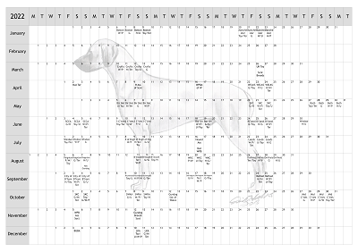 Rhodesian Ridgeback Dog Show 2022 Year Planner A4