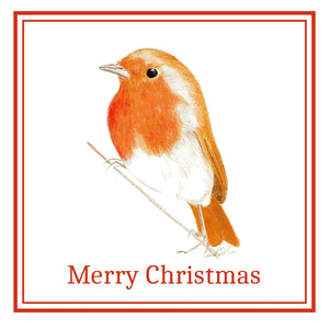 Robin Christmas Cards Pack of 6