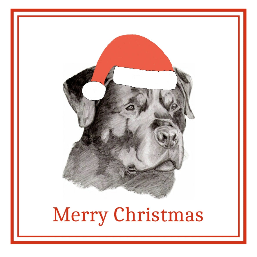 Rottweiler Christmas Cards Pack of 6