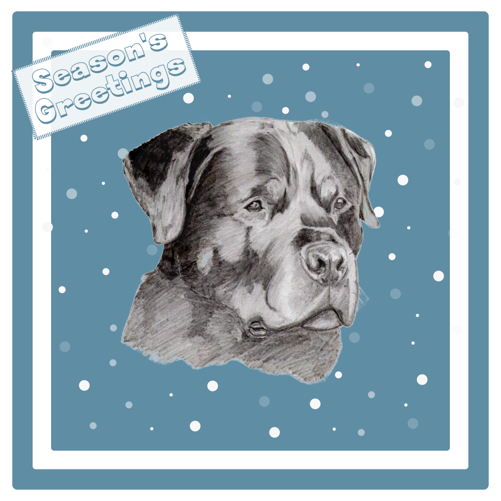 Rottweiler Christmas Card Choice of 3 Card Designs Single or Multi Pack