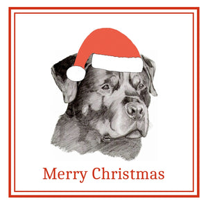 Rottweiler Christmas Cards Pack of 6