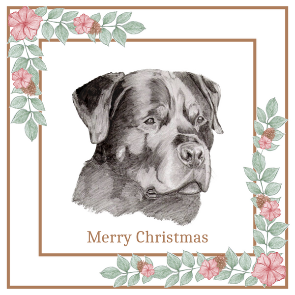 Rottweiler Christmas Card Choice of 3 Card Designs Single or Multi Pack