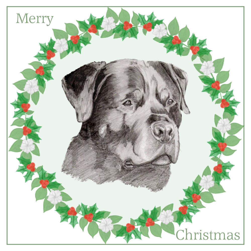 Rottweiler Christmas Card Choice of 3 Card Designs Single or Multi Pack