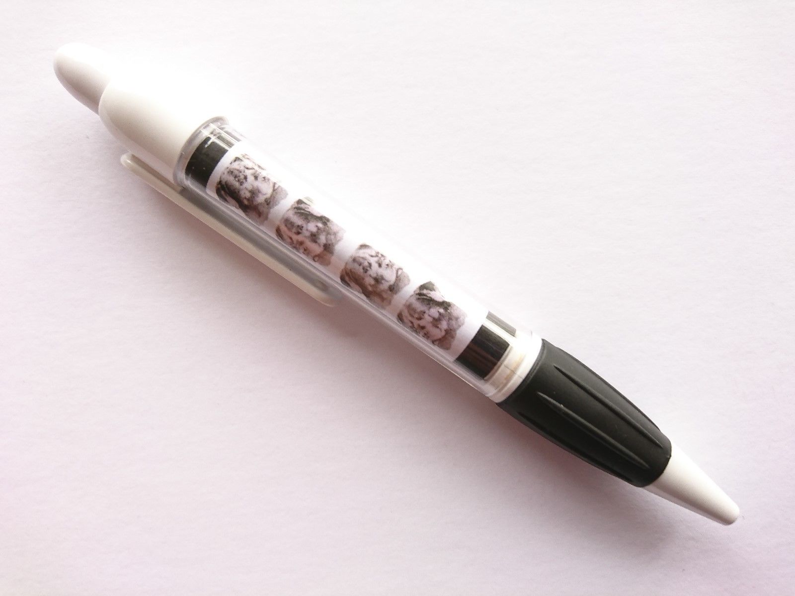Rottweiler Pen