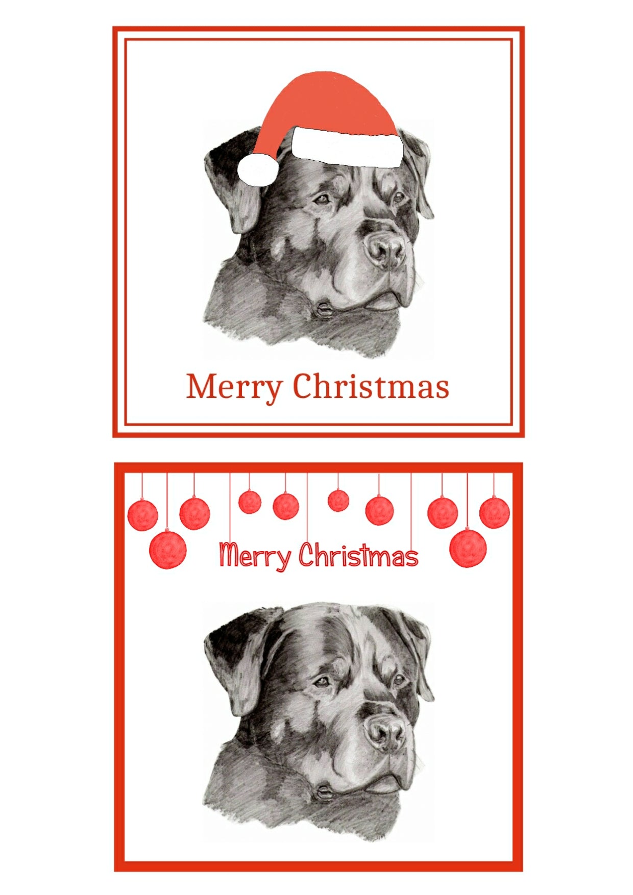 Rottweiler Christmas Cards Pack of 6