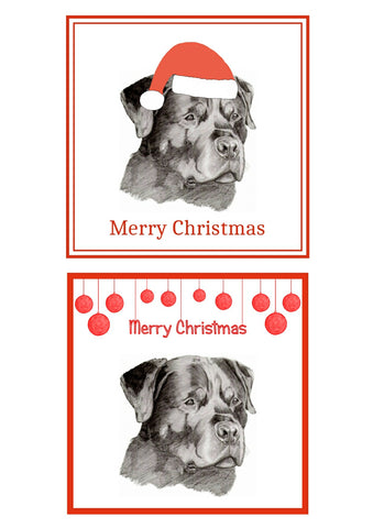 Rottweiler Christmas Cards Pack of 6