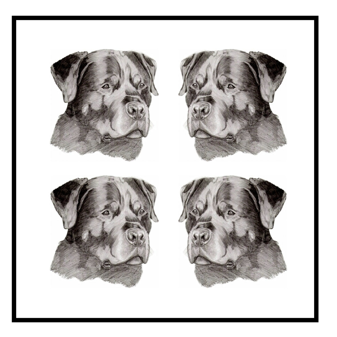 Rottweiler Greeting Card Choice of 6 Designs BIRTHDAY, THINKING OF YOU, BLANK