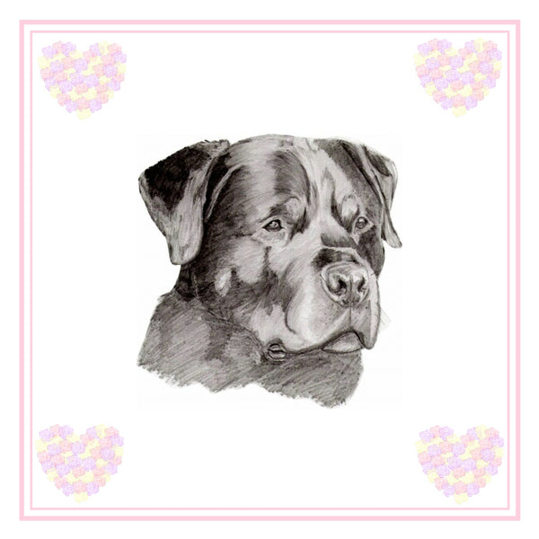 Rottweiler Greeting Card Choice of 6 Designs BIRTHDAY, THINKING OF YOU, BLANK