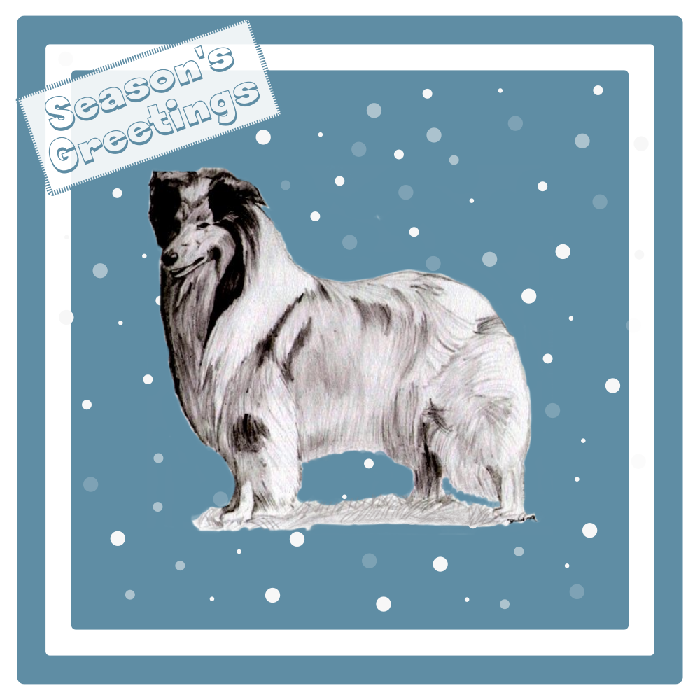 Rough Collie Christmas Card Choice of 3 Card Designs Single or Multi Pack