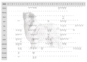 Rough Collie Dog Show 2022 Year Planner A4