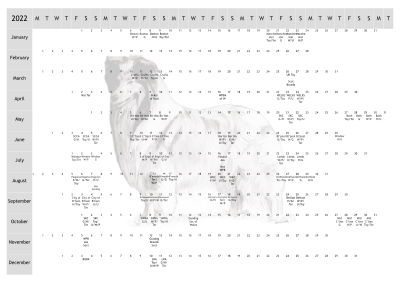 Rough Collie Dog Show 2022 Year Planner A4