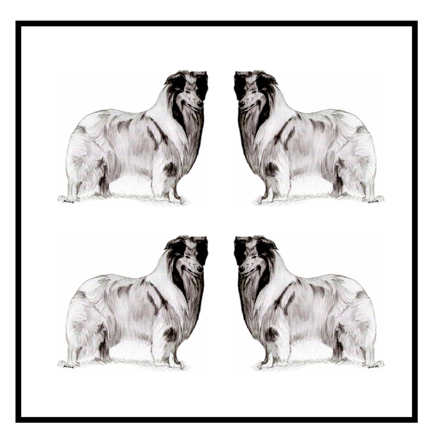 Rough Collie Greeting Card Choice of 6 Designs BIRTHDAY, THINKING OF YOU, BLANK
