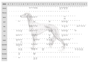 Saluki Dog Show 2022 Year Planner A4