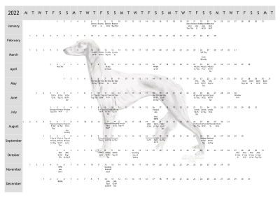 Saluki Dog Show 2022 Year Planner A4