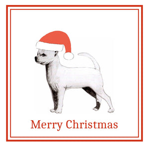S/C Chihuahua Christmas Cards Pack of 6