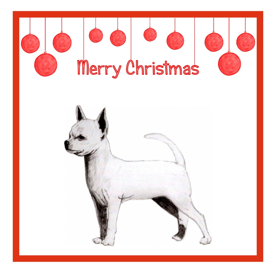 S/C Chihuahua Christmas Cards Pack of 6
