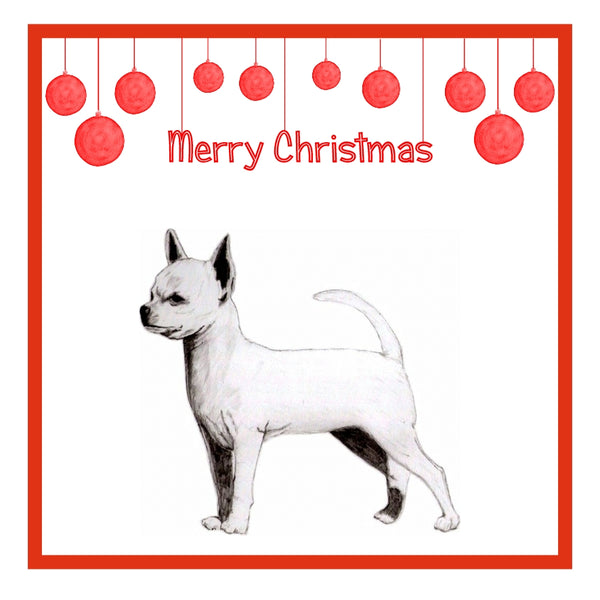 S/C Chihuahua Christmas Cards Pack of 6