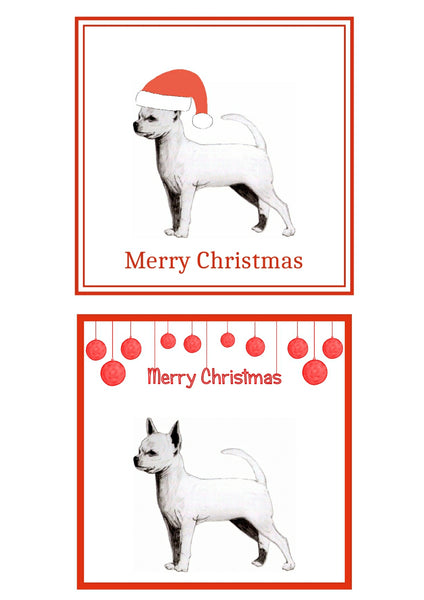 S/C Chihuahua Christmas Cards Pack of 6