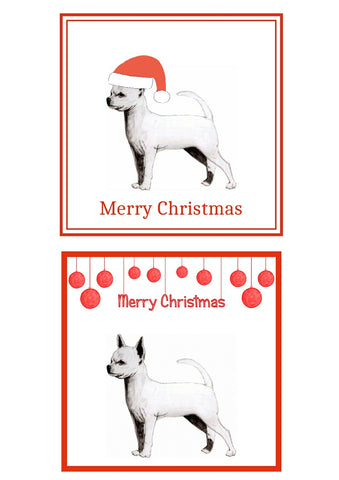 S/C Chihuahua Christmas Cards Pack of 6