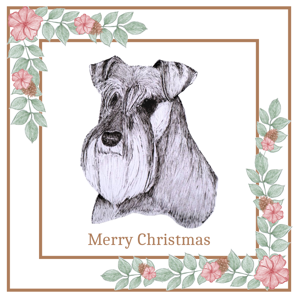 Schnauzer Christmas Card Choice of 3 Card Designs Single or Multi Pack