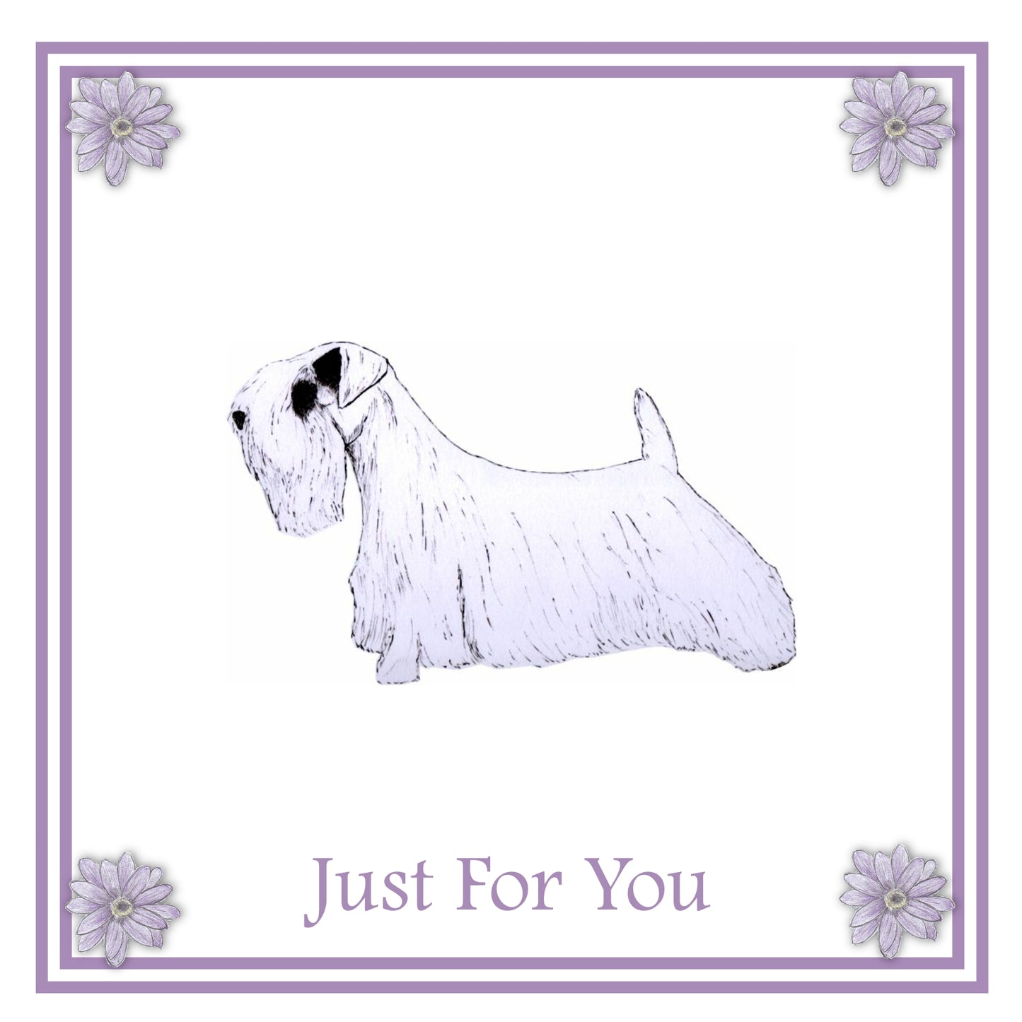 Sealyham Greeting Card Choice of 6 Designs BIRTHDAY, THINKING OF YOU, BLANK