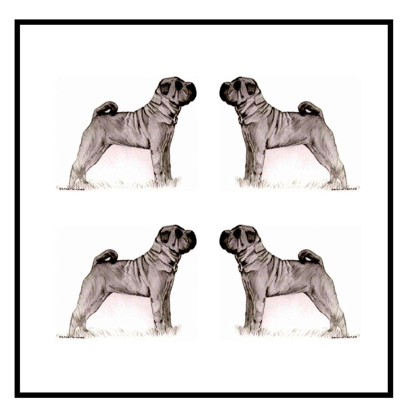 Shar Pei Greeting Card Choice of 6 Designs BIRTHDAY, THINKING OF YOU, BLANK