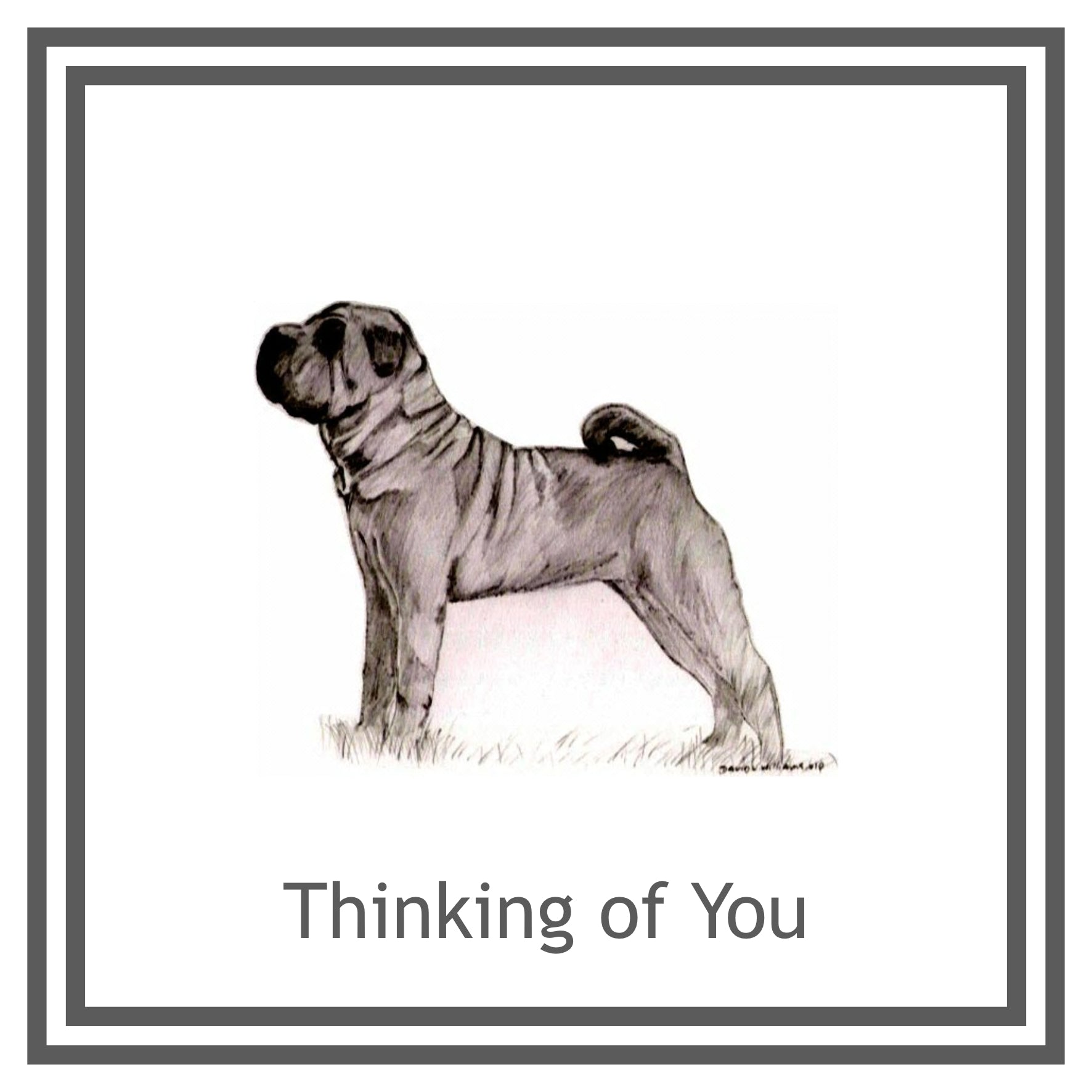 Shar Pei Greeting Card Choice of 6 Designs BIRTHDAY, THINKING OF YOU, BLANK