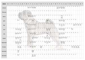 Shar Pei Dog Show 2022 Year Planner A4