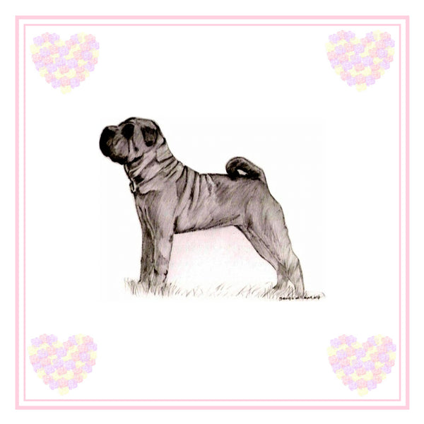 Shar Pei Greeting Card Choice of 6 Designs BIRTHDAY, THINKING OF YOU, BLANK