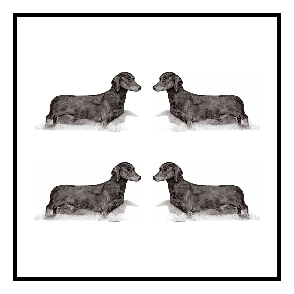 Dachshund Short haired  Greeting Card Choice of 6 Designs BIRTHDAY, THINKING OF YOU, BLANK
