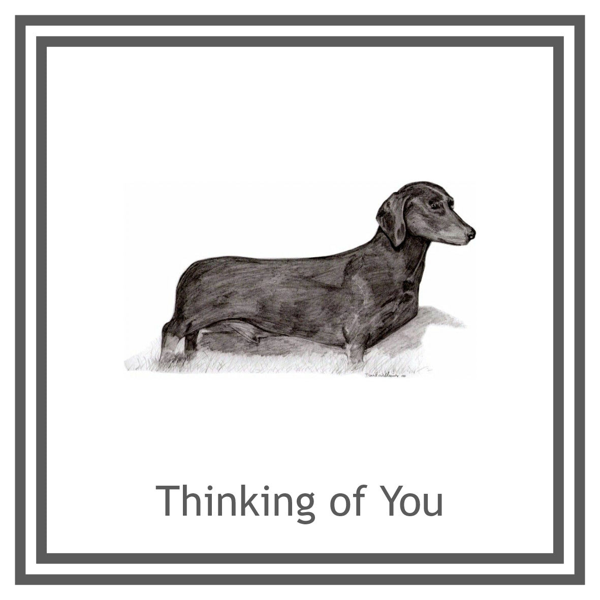 Dachshund Short haired  Greeting Card Choice of 6 Designs BIRTHDAY, THINKING OF YOU, BLANK