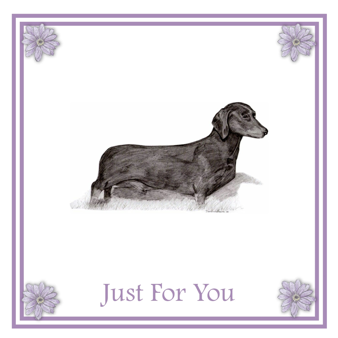 Dachshund Short haired  Greeting Card Choice of 6 Designs BIRTHDAY, THINKING OF YOU, BLANK