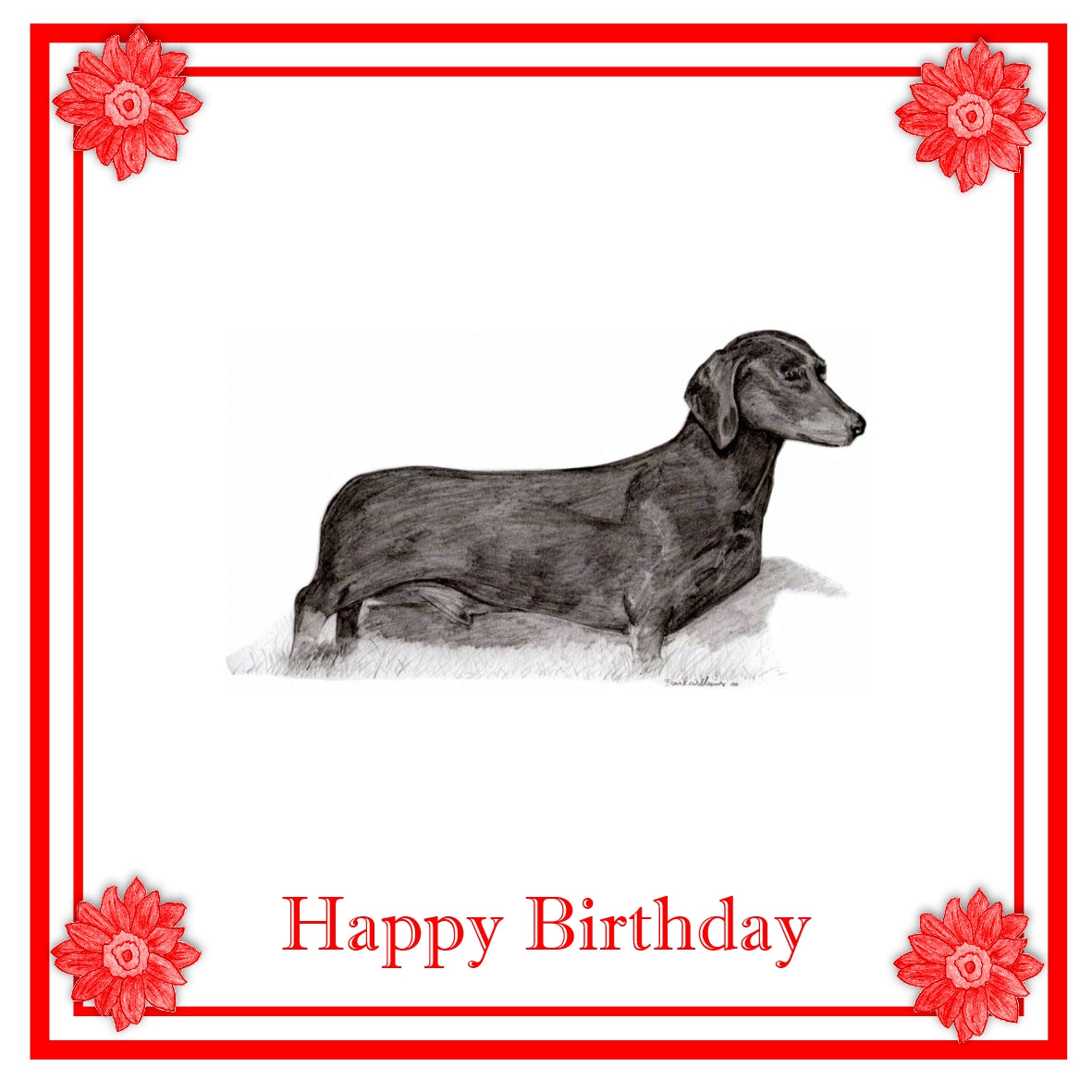 Dachshund Short haired  Greeting Card Choice of 6 Designs BIRTHDAY, THINKING OF YOU, BLANK