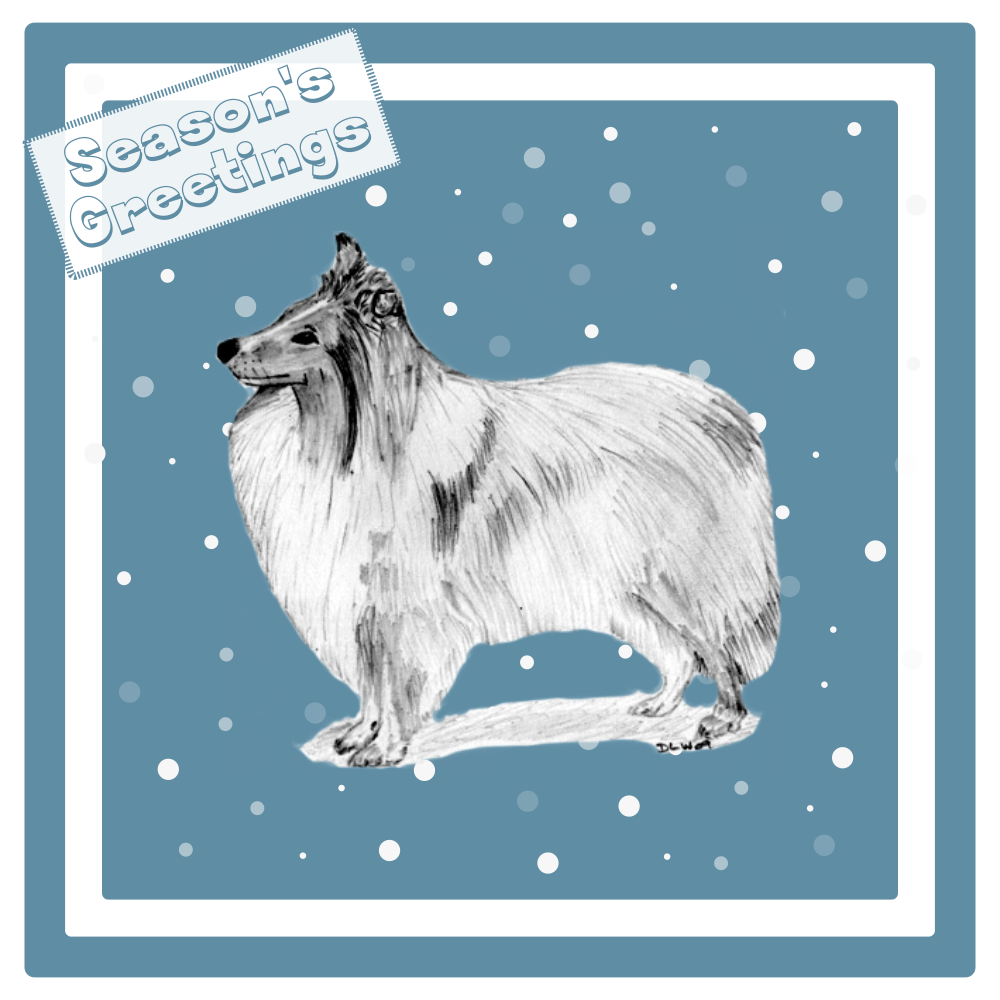 Shetland Sheepdog Sheltie Christmas Card Choice of 3 Card Designs Single or Multi Pack