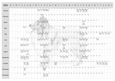 Shetland Sheepdog Sheltie Dog Show 2022 Year Planner A4