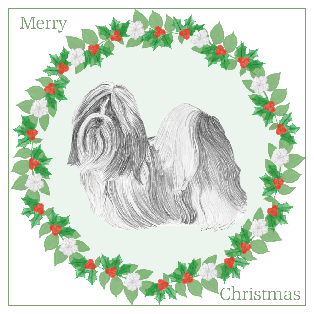 Shih Tzu Christmas Card Choice of 3 Card Designs Single or Multi Pack