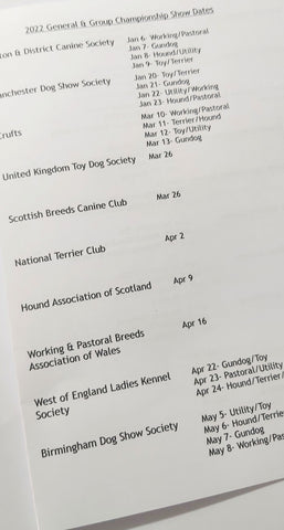 Schnauzer Dog Show 2022 Year Planner A4