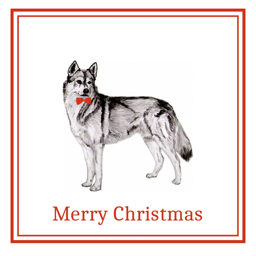 Siberian Husky Christmas Cards Pack of 6