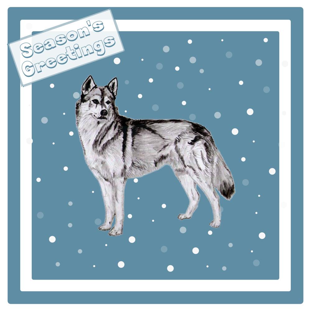 Siberian Husky Christmas Card Choice of 3 Card Designs Single or Multi Pack