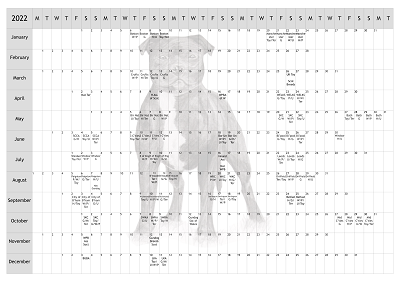 Staffordshire Bull Terrier Dog Show 2022 Year Planner A4