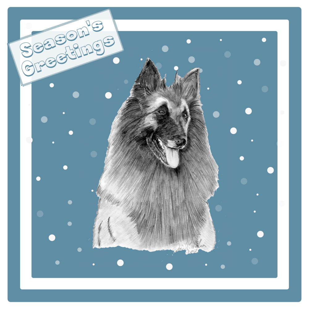 Belgian Shepherd Dog (Terveuren) BSD Christmas Card Choice of 3 Card Designs Single or Multi Pack