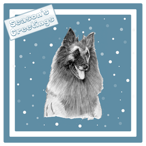 Belgian Shepherd Dog (Terveuren) BSD Christmas Card Choice of 3 Card Designs Single or Multi Pack