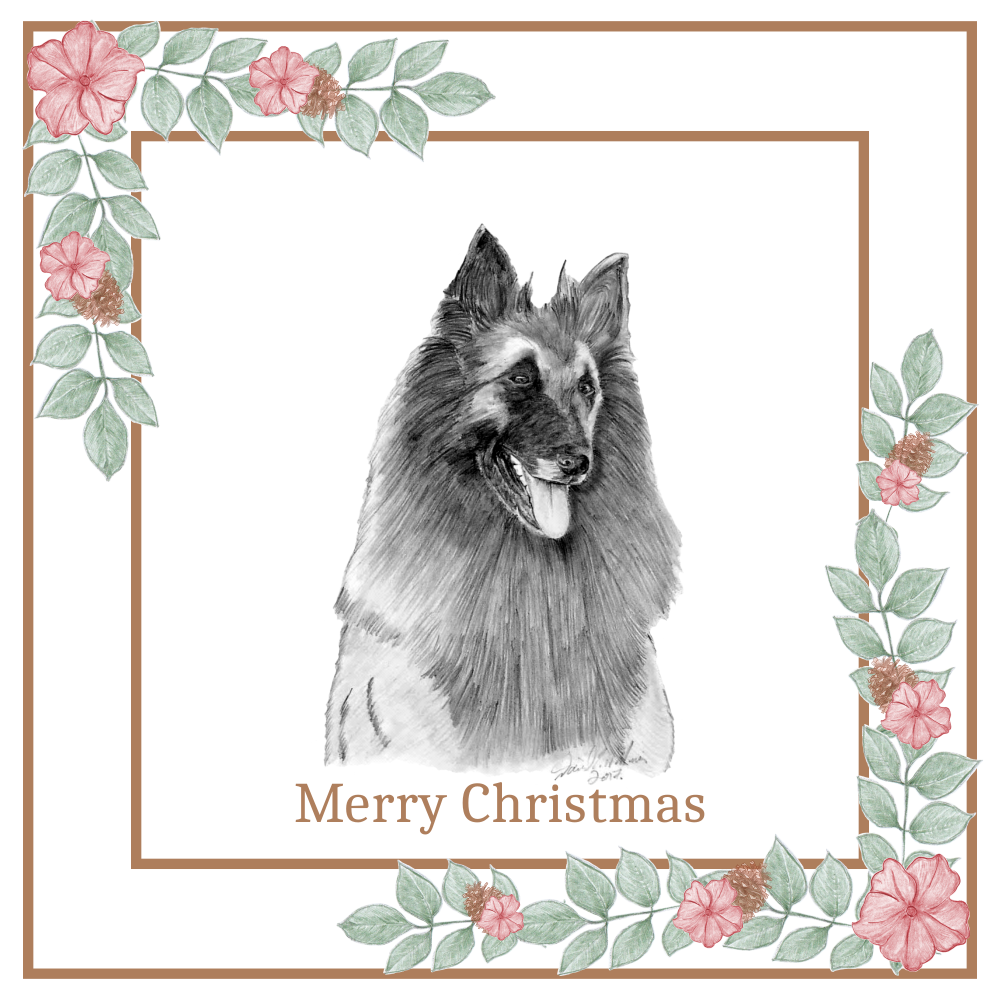 Belgian Shepherd Dog (Terveuren) BSD Christmas Card Choice of 3 Card Designs Single or Multi Pack