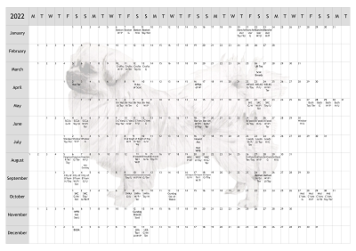 Tibetan Spaniel Dog Show 2022 Year Planner A4