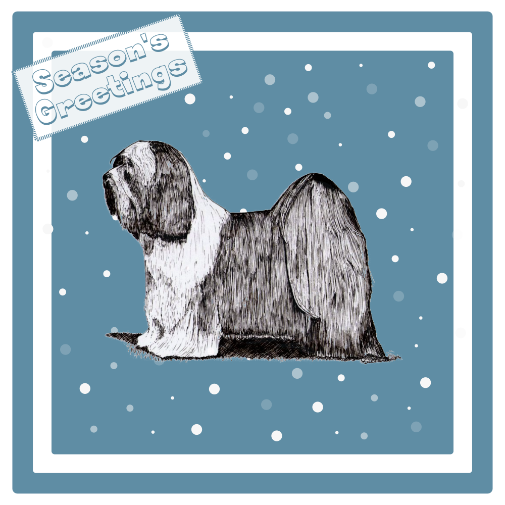 Tibetan Terrier Christmas Card Choice of 3 Card Designs Single or Multi Pack