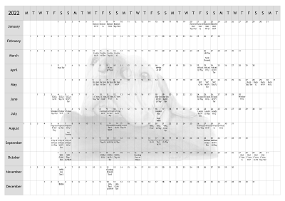 Hungarian Vizsla Dog Show 2022 Year Planner A4