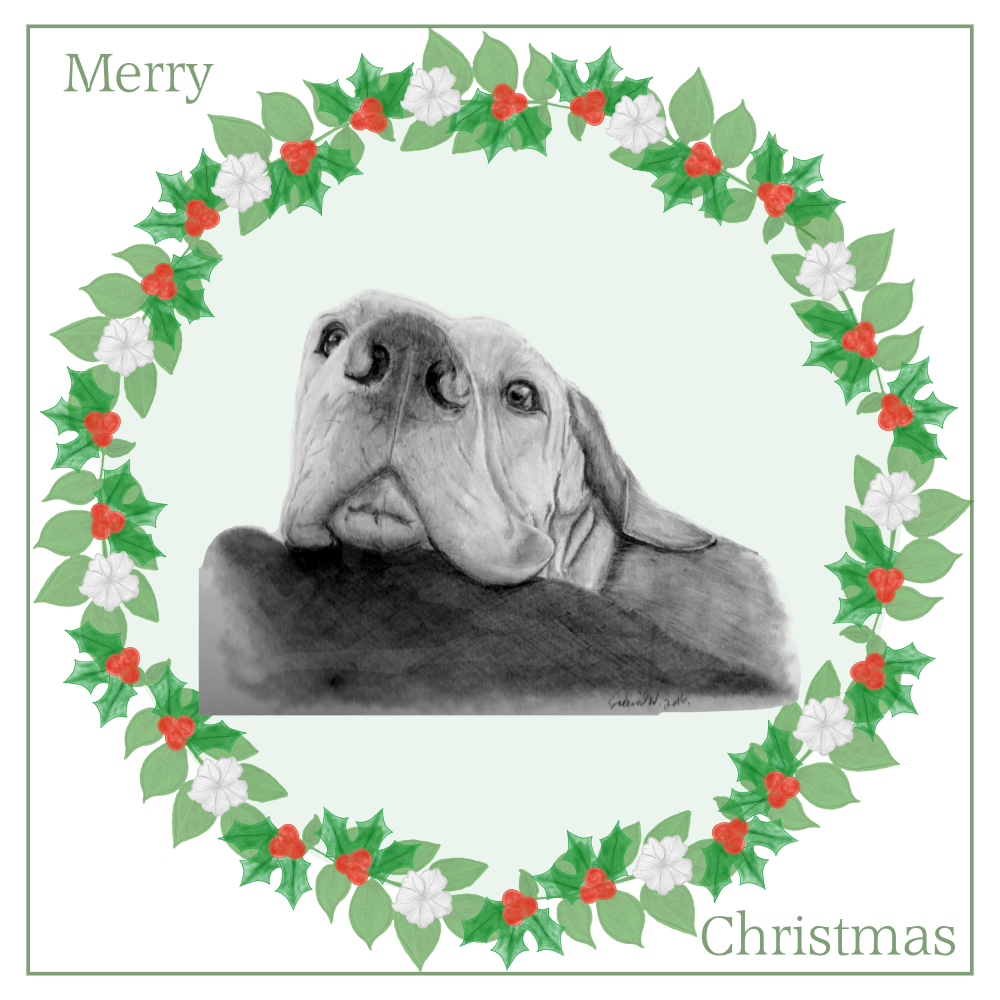 Hungarian Vizsla Christmas Card Choice of 3 Card Designs Single or Multi Pack