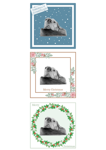 Hungarian Vizsla Christmas Card Choice of 3 Card Designs Single or Multi Pack