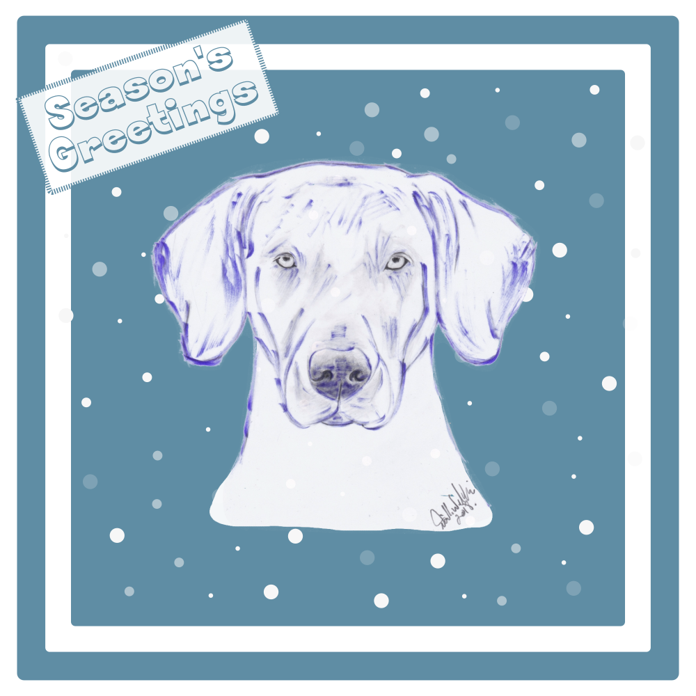 Weimaraner Christmas Card Choice of 3 Card Designs Single or Multi Pack